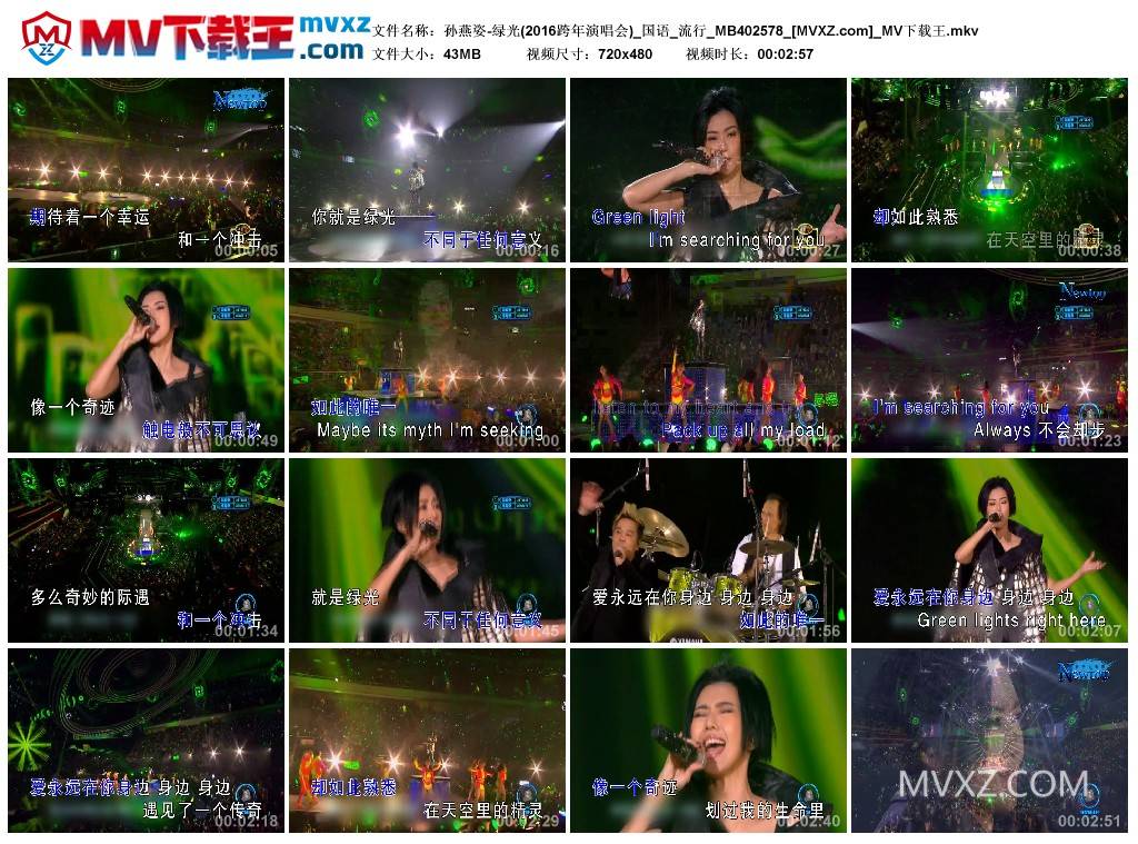 孙燕姿-绿光(2016跨年演唱会)_国语_流行_MB402578